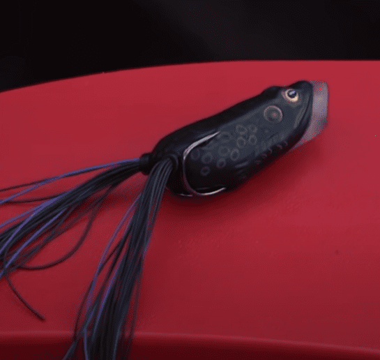 The Best Baits For Shore Fishing With Travis Moran