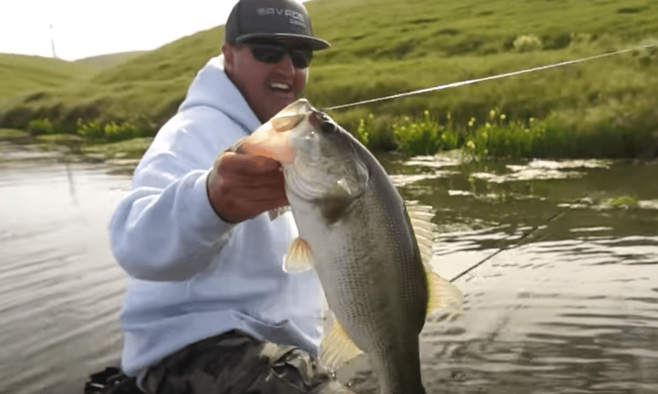 How To Take Care Of Your Fishing Rods? Video