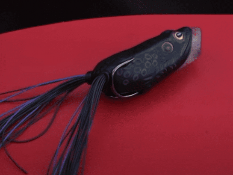 The Best Baits For Shore Fishing