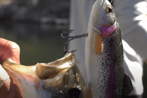 Best STIX Fishing Tips For Any Angler